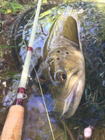 8'3" #6 (S-Glass) High Quality Oracles Glass 4pcs Fly Rod, Beautiful Color