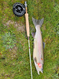 7'3" #3/4 High Quality Fiber Glass Accurate Cast Fly Rod