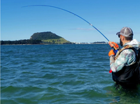 8'0" #8/9 High Quality Fiberglass  (S-GLASS) Fly Rod(4pcs)