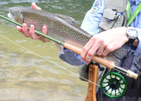 10'0" #5 High Quality Discovery IM12(100% TORAY Carbon Fiber 46T)Czech Nymph Fly Rod (Double Tips)