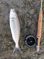 8'3" #6 (S-Glass) High Quality Oracles Glass 4pcs Fly Rod, Beautiful Color