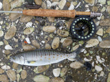 7'6" #4 High Quality Fiber Glass Fly Rod