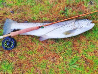 8'0'' #5 High Quality Fiberglass Fly Rod