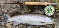 Spare Spool For PISCIFUN Fly Reel,Avail In #3/4,#5/6,#7/8